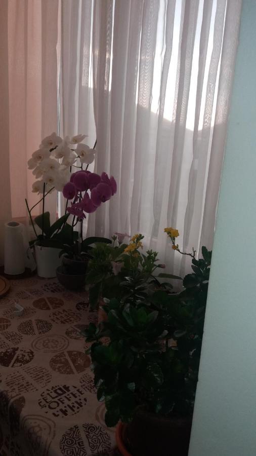 Jorali Apartment